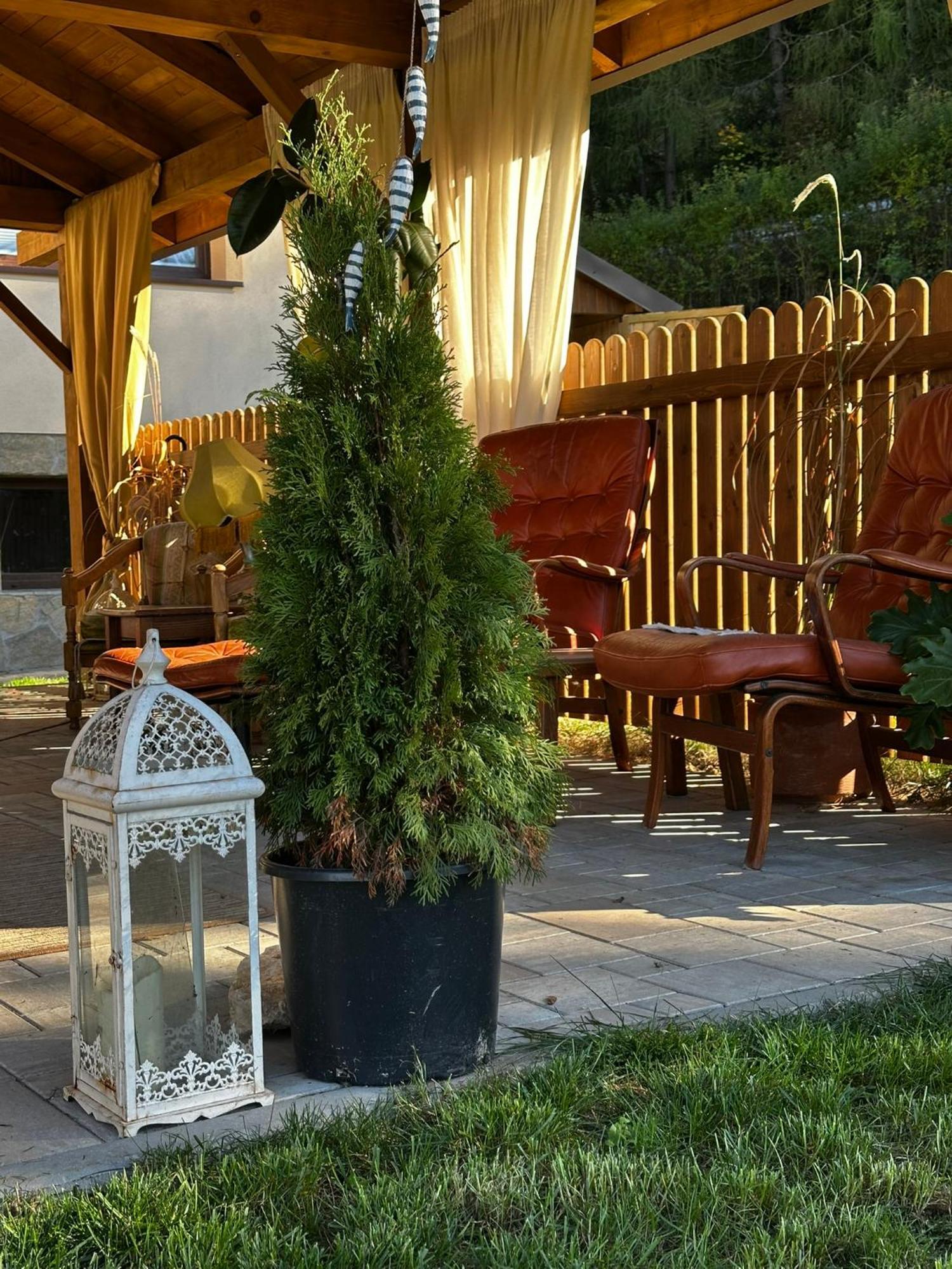 Gosciniec Stara Szkola 호텔 Haluszowa 외부 사진
